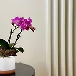 Apartmán Laus Via Marchese Di Montrone - Lux & Design In The Center Of - New Opening Bari