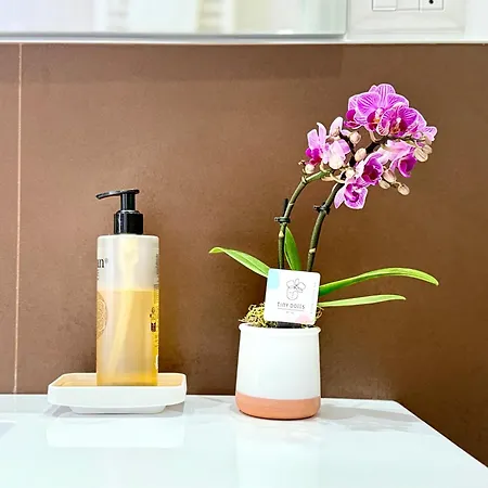 Laus Via Marchese Di Montrone - Lux & Design In The Center Of - New Opening Apartamento *