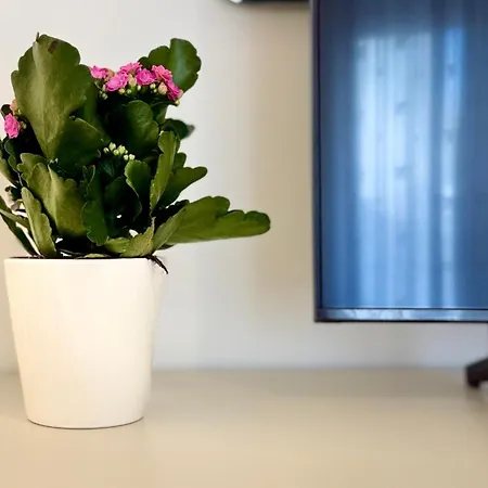 Apartamento Laus Via Marchese Di Montrone - Lux & Design In The Center Of - New Opening *