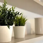 Laus Via Marchese Di Montrone - Lux & Design In The Center Of - New Opening Бари