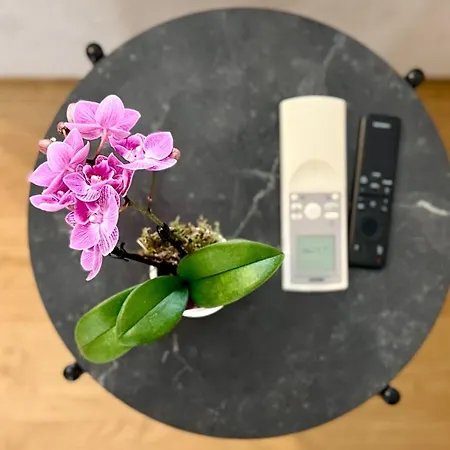 Laus Via Marchese Di Montrone - Lux & Design In The Center Of - New Opening Appartement