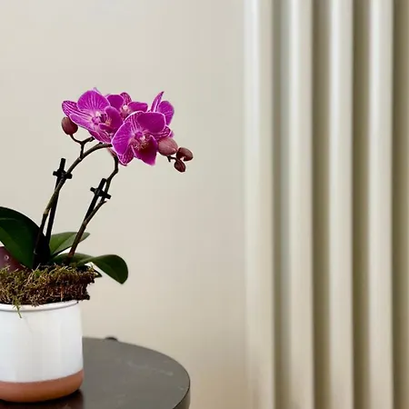 Apartment Laus Via Marchese Di Montrone - Lux & Design In The Center Of - New Opening Bari