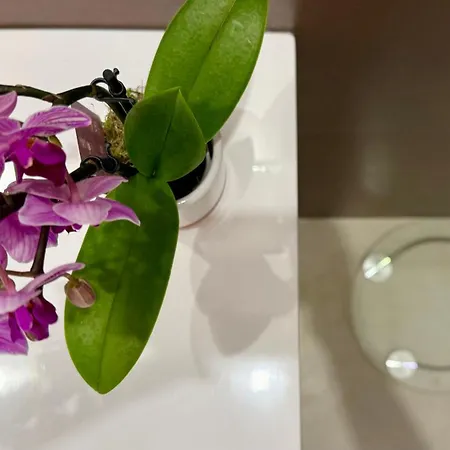 Laus Via Marchese Di Montrone - Lux & Design In The Center Of - New Opening Apartman *