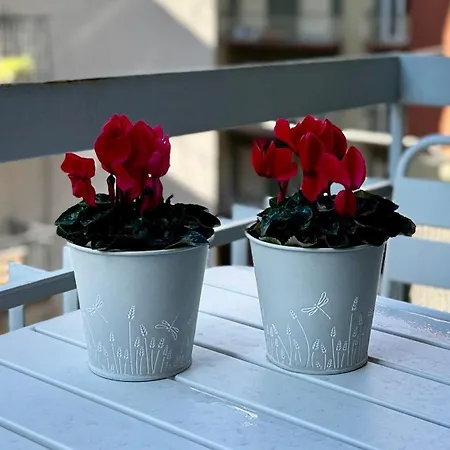 Apartman Laus Via Marchese Di Montrone - Lux & Design In The Center Of - New Opening Bari