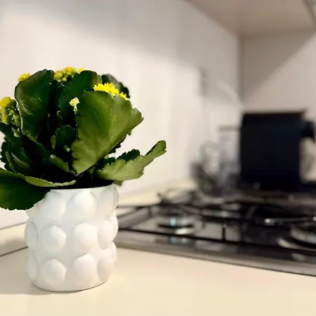 Laus Via Marchese Di Montrone - Lux & Design In The Center Of - New Opening Appartement