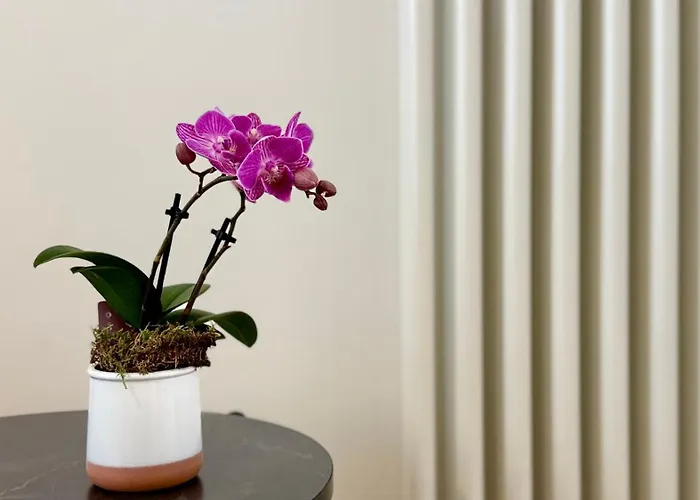 Appartement Laus Via Marchese Di Montrone - Lux & Design In The Center Of - New Opening Bari