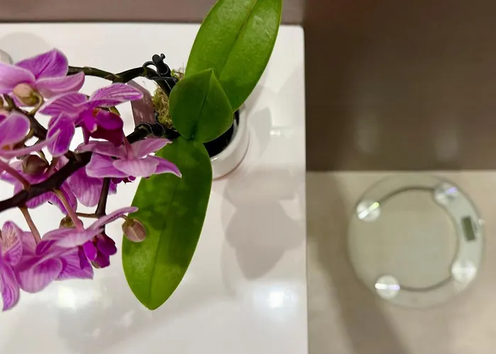 Laus Via Marchese Di Montrone - Lux & Design In The Center Of - New Opening Appartement *