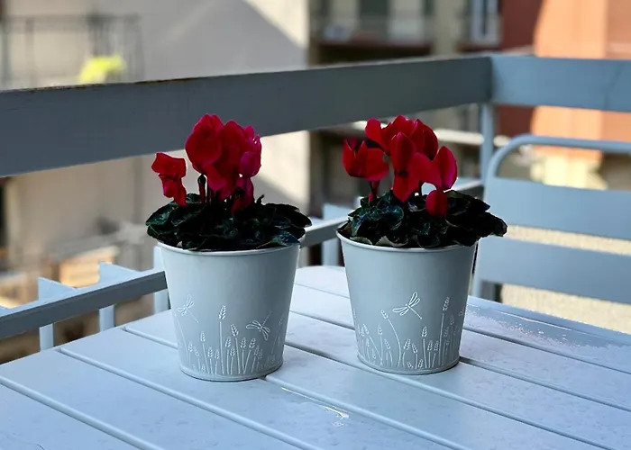 Appartement Laus Via Marchese Di Montrone - Lux & Design In The Center Of - New Opening Bari