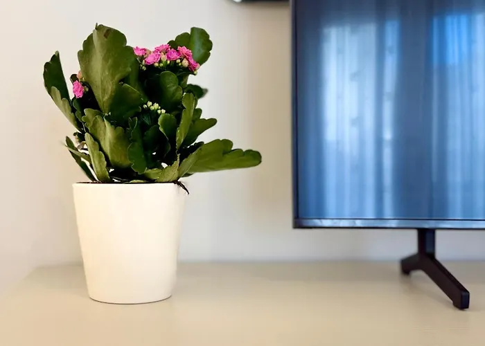 Appartement Laus Via Marchese Di Montrone - Lux & Design In The Center Of - New Opening *